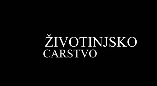 Životinjsko carstvo