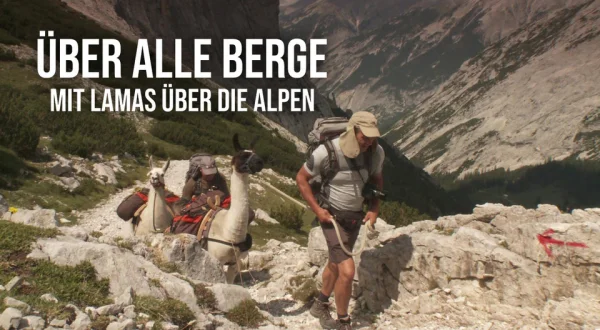 Über alle Berge - Mit Lamas über die Alpen