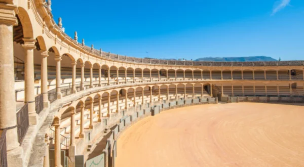 Vaquillas