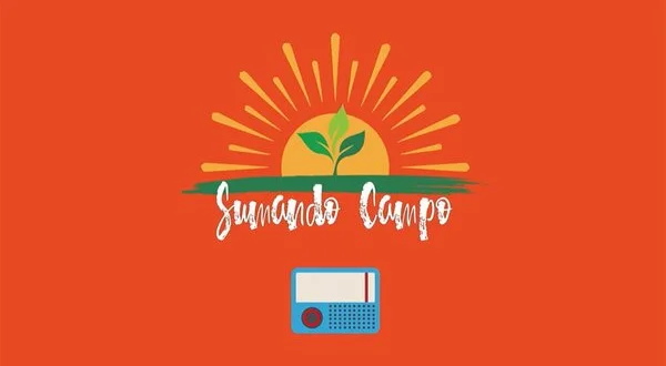 Sumando campo