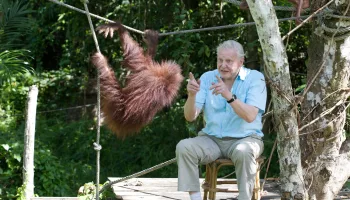 David Attenborough – Mein Leben in der Wildnis