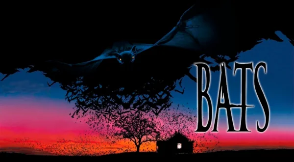 Bats