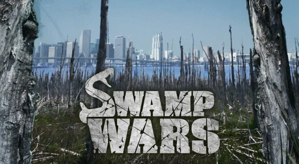 Swamp Wars