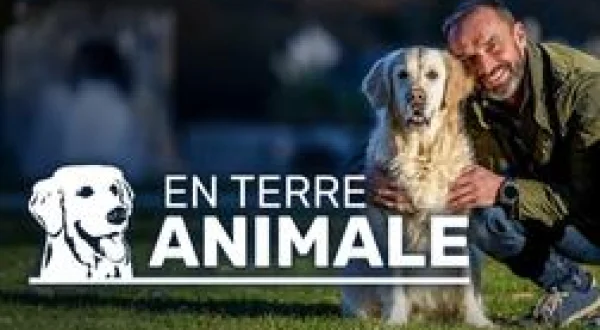 En terre animale