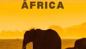 Horizontes salvajes de África