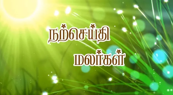 நற்செய்தி மலர்கள்