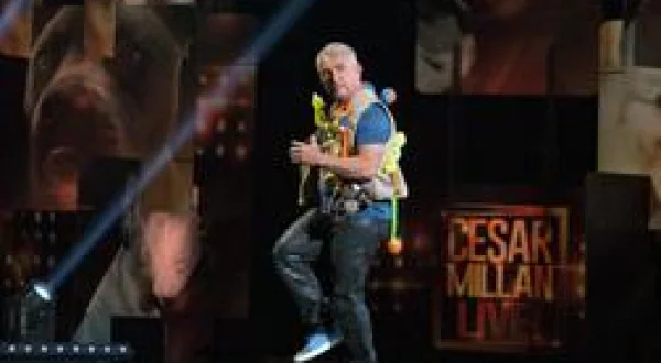 Cesar Millan : Viva Las Vegas !