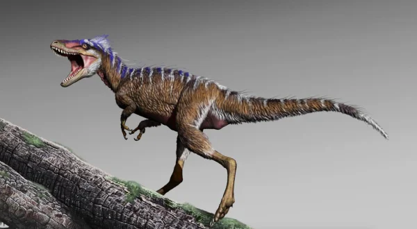Fabelhafte Welt der Dinosaurier