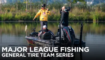 MLF Team Series