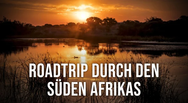 Roadtrip durch den Süden Afrikas