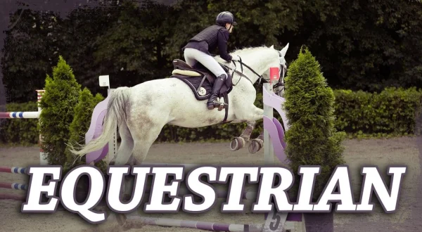 Equestrian