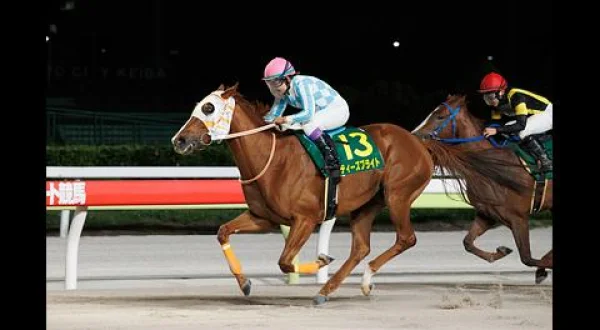 ＧＣＨ地方競馬中継（ヤングジョッキーズシリーズトライアルラウンド大井）