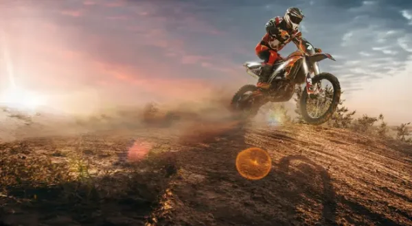 FIM Campionato mondiale di motocross: MX2 Fiandre: Gara 2