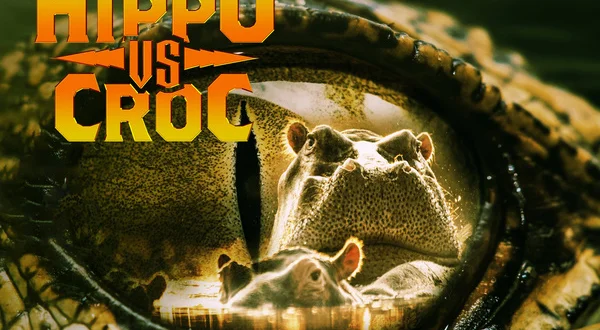 Hippo vs. Croc