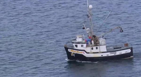 Οι Καουμπόι των Παγωμένων Θαλασσών