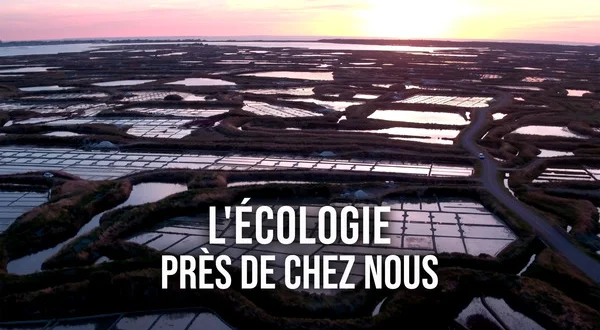 L'écologie près de chez nous