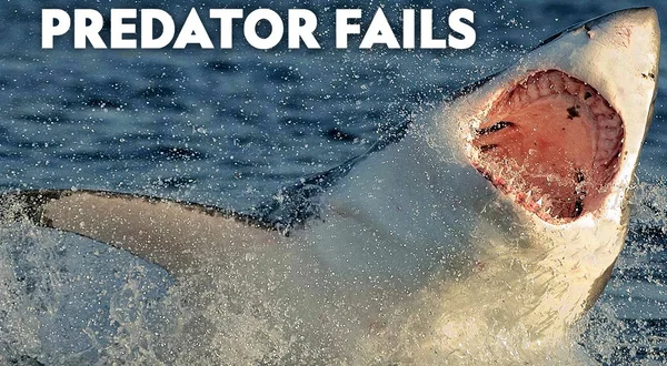 Predator Fails
