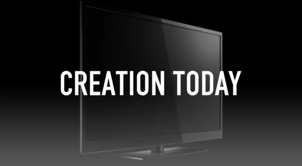 Creation Today