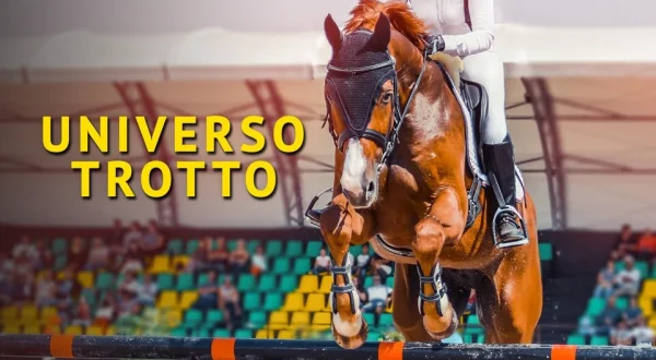 Universo trotto