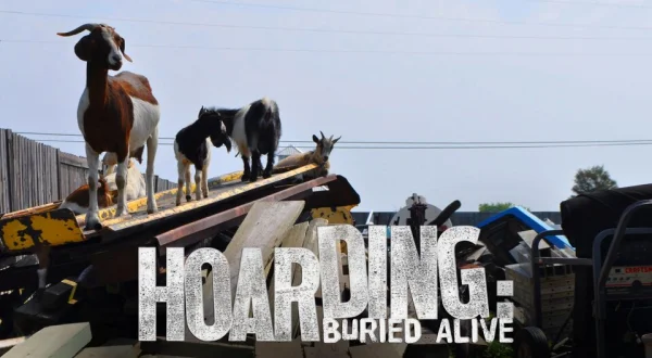 Hoarding: Buried Alive