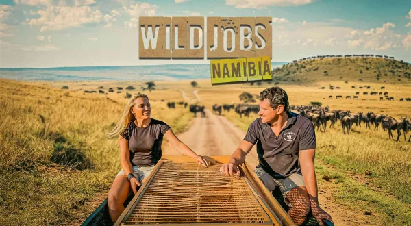 Άγριες Αποστολές | Wild Jobs