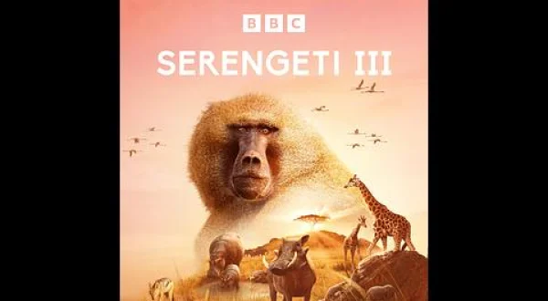 BBC超大作 セレンゲティ物語S3：希望の大地（二）