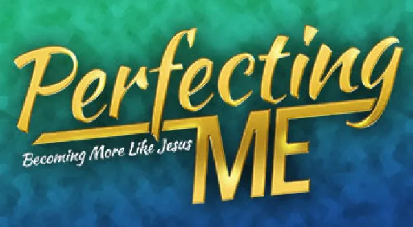 Perfecting Me