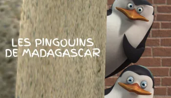 Les Pingouins de Madagascar