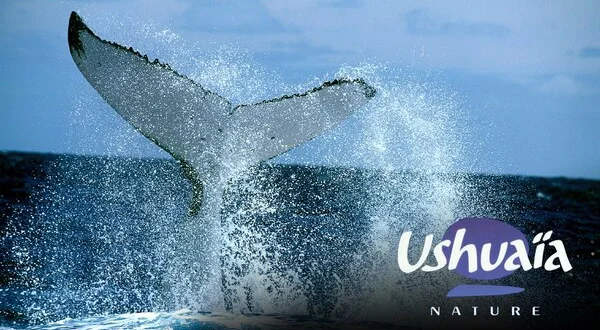 Ushuaïa Nature