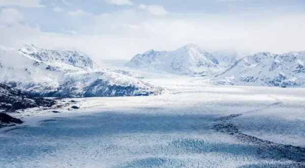 Alaska, l'aventure grandeur nature