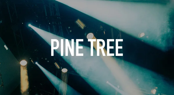 Pine Tree