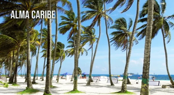 Alma Caribe