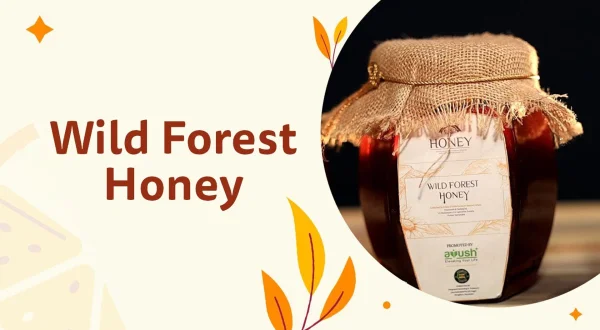 Wild Forest Honey