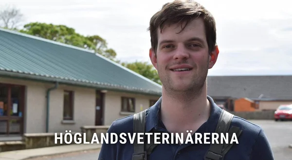 Höglandsveterinärerna