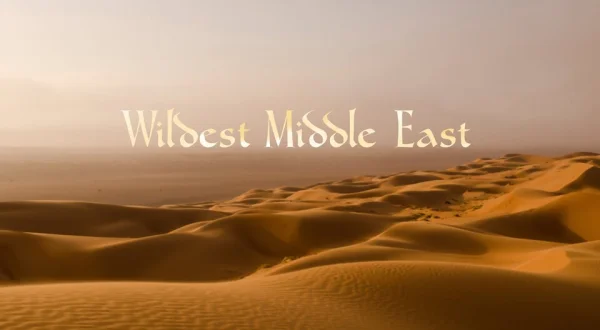 Wildest Middle East