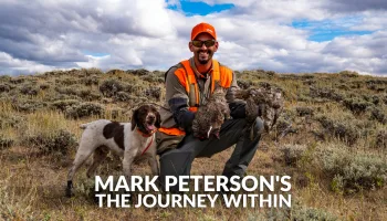 Mark Peterson's The Journey Within