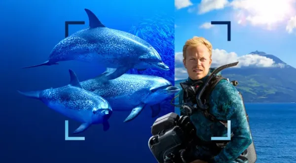 Au plus près des dauphins avec Bertie Gregory