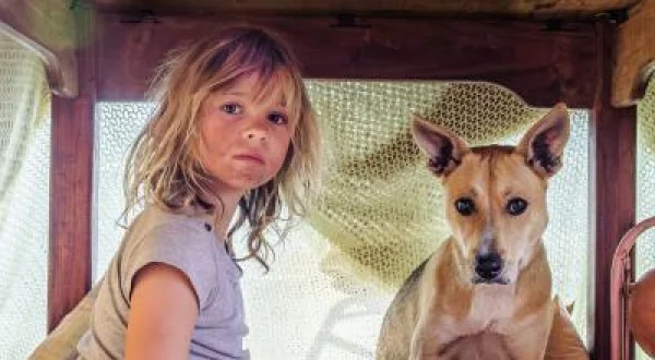 Bu Gece Köpeklere Gitmeyelim