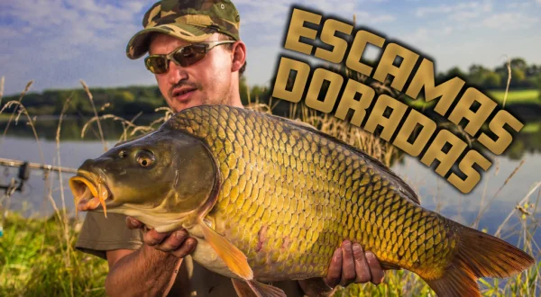 Escamas doradas