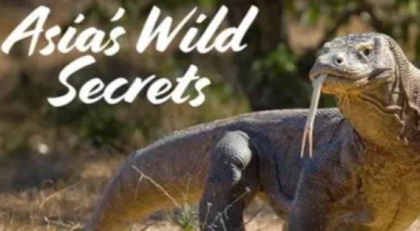 Asia's Wild Secrets Compilation