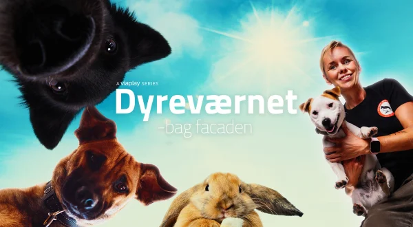 Dyreværnet - Bag Facaden