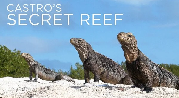 Castro's Secret Reef