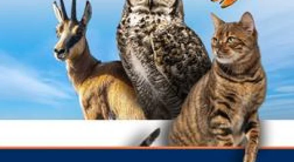 TGR Amici Animali