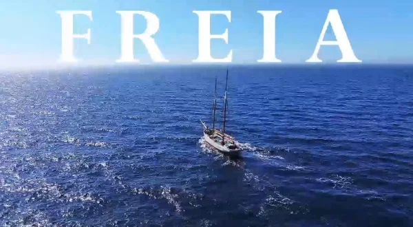 Freia - Tilbage på havet