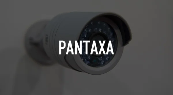 Pantaxa