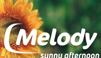 Melody Sunny Afternoon