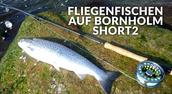 Fliegenfischen auf Bornholm - Short2