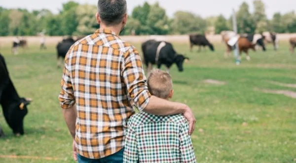 The Farmers' Country Showdown