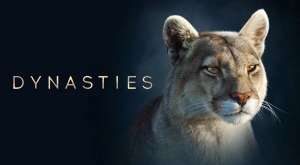 Dynasties