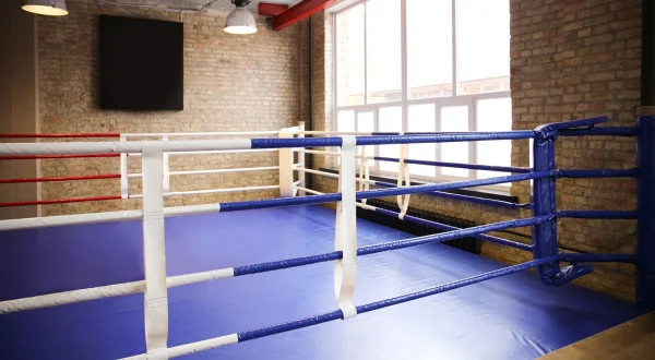Boxe : Championnat du monde WBC